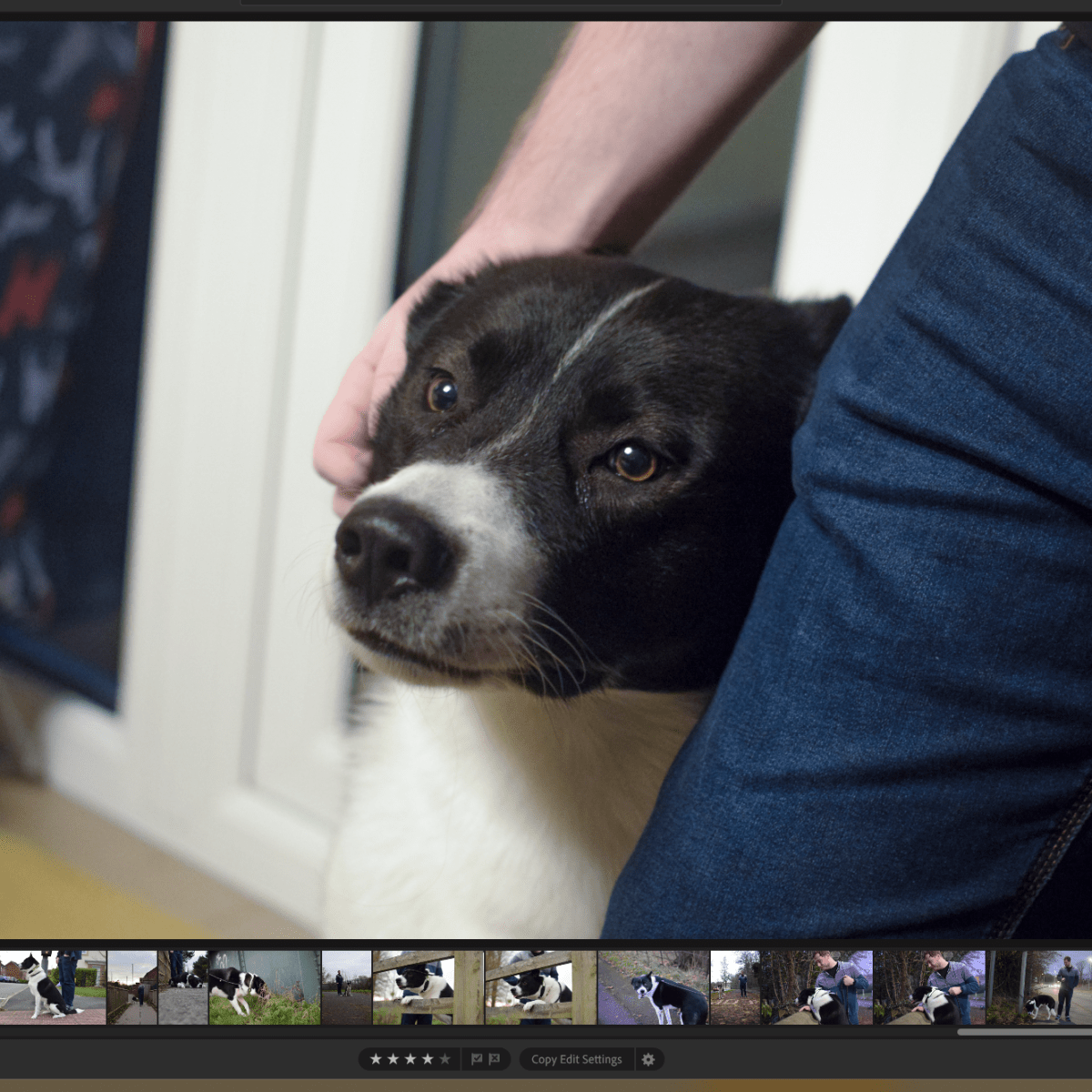 Module Two, Week Two: Portraiture – Part&nbsp;Two