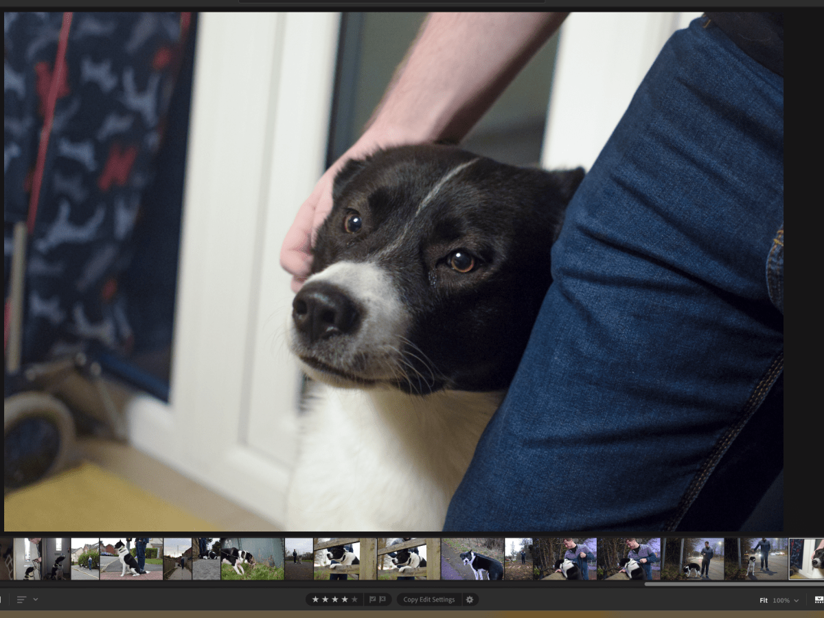 Module Two, Week Two: Portraiture – Part&nbsp;Two