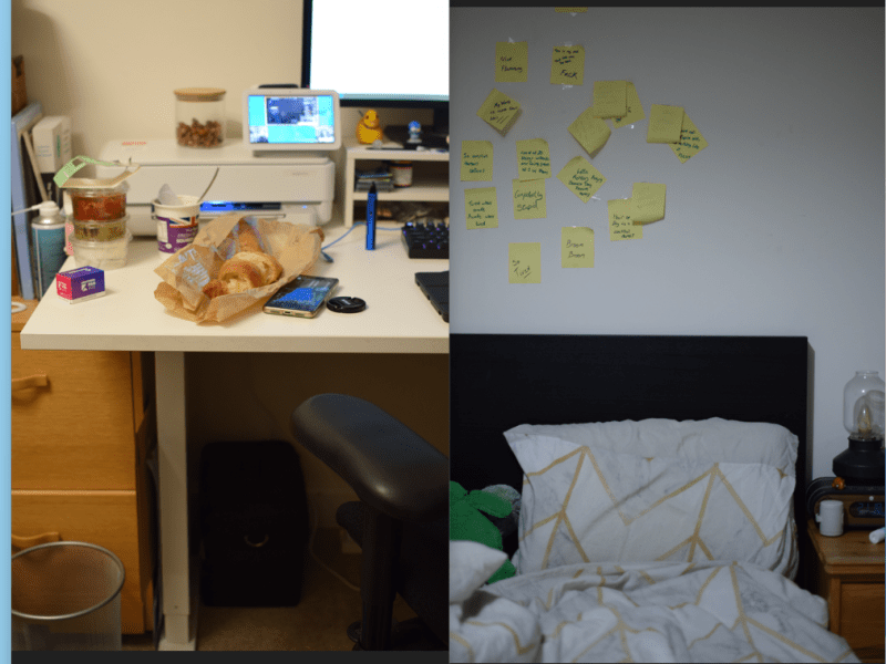 Module Two, Week Three: Unlikely&nbsp;Alliances