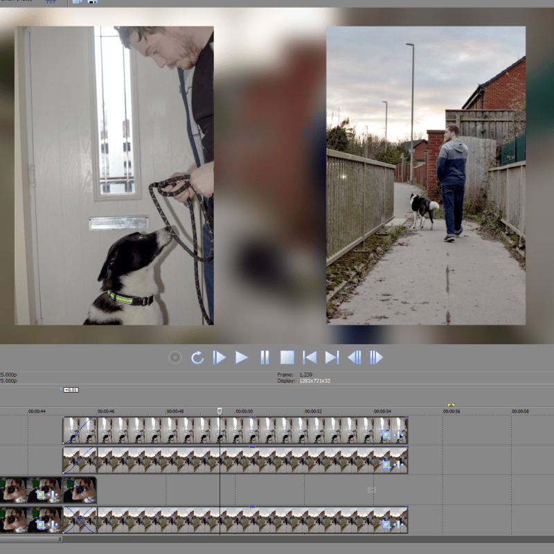 Module Two: Digital&nbsp;Stories